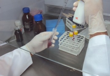 UFPI realiza treinamento sobre cultivo de clulas tronco 