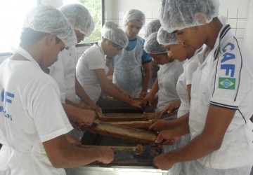 Alunos do Colgio Agrcola de Floriano realizam colheita de mel