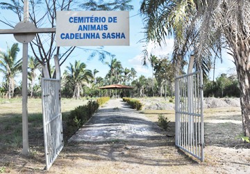 HVU da UFPI tem nico cemitrio para animais da Amrica Latina